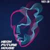 Neon-Future-House.jpg Neon-Future-House.jpg