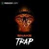 SnakeTrap-1000x1000.jpg SnakeTrap-1000x1000.jpg