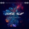 traktrain-coral-slap-house-artwork.png traktrain-coral-slap-house-artwork.png
