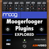 moog-moogerfooger-course.jpg moog-moogerfooger-course.jpg