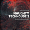 Naughty_TechHouse_03.png Naughty_TechHouse_03.png