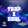 rc_trap_x_soul_main.jpg rc_trap_x_soul_main.jpg