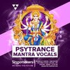 Singomakers - Psytrance Mantra (Vol 1).JPG Singomakers - Psytrance Mantra (Vol 1).JPG